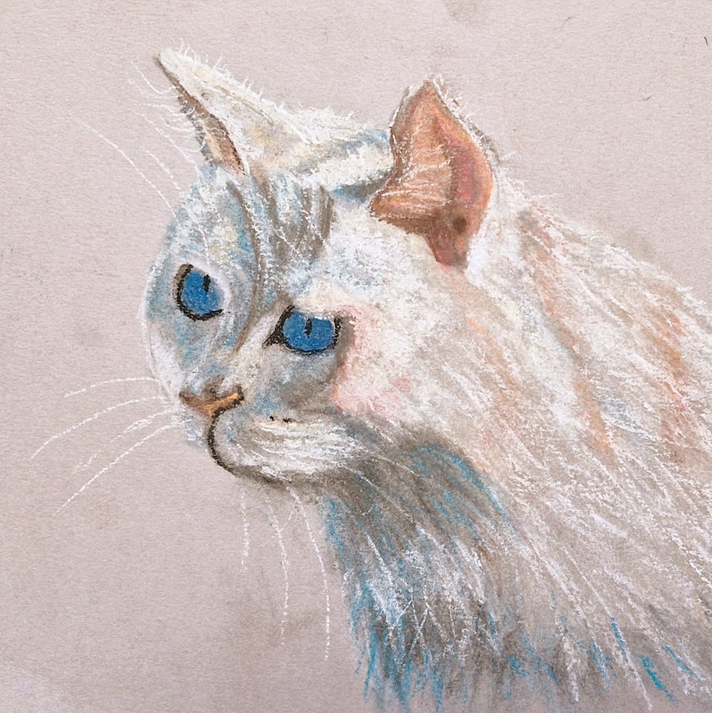 Œuvre de Sylvana Zammit, élève de l'atelier Dessin-Provence