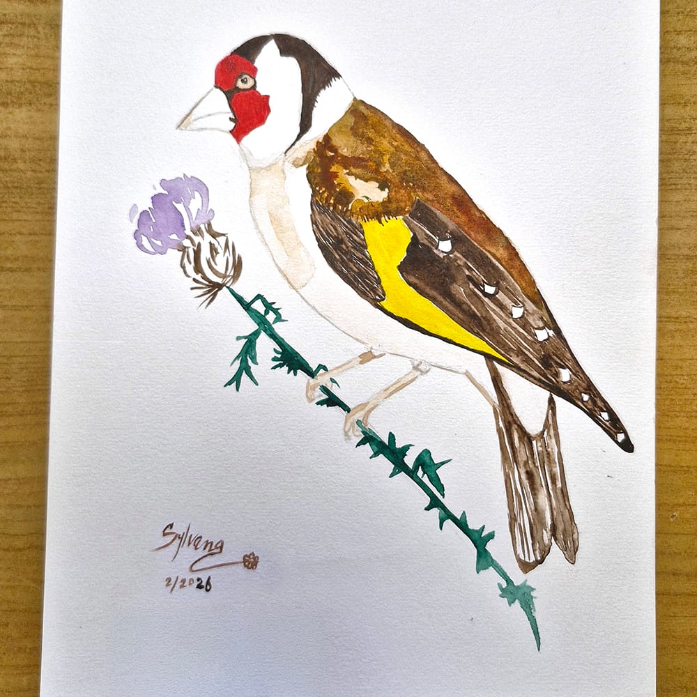 Œuvre de Sylvana Zammit, élève de l'atelier Dessin-Provence