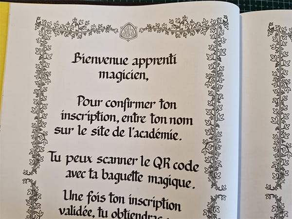 Extrait d’un texte calligraphié réalisé pour Udexia, un livre que j’ai illustré et calligraphié.
